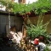 dsc09393